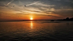Sunset Cruise Seagull